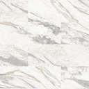 CORESTONE SPC FLOOR PANEL - 23139-1